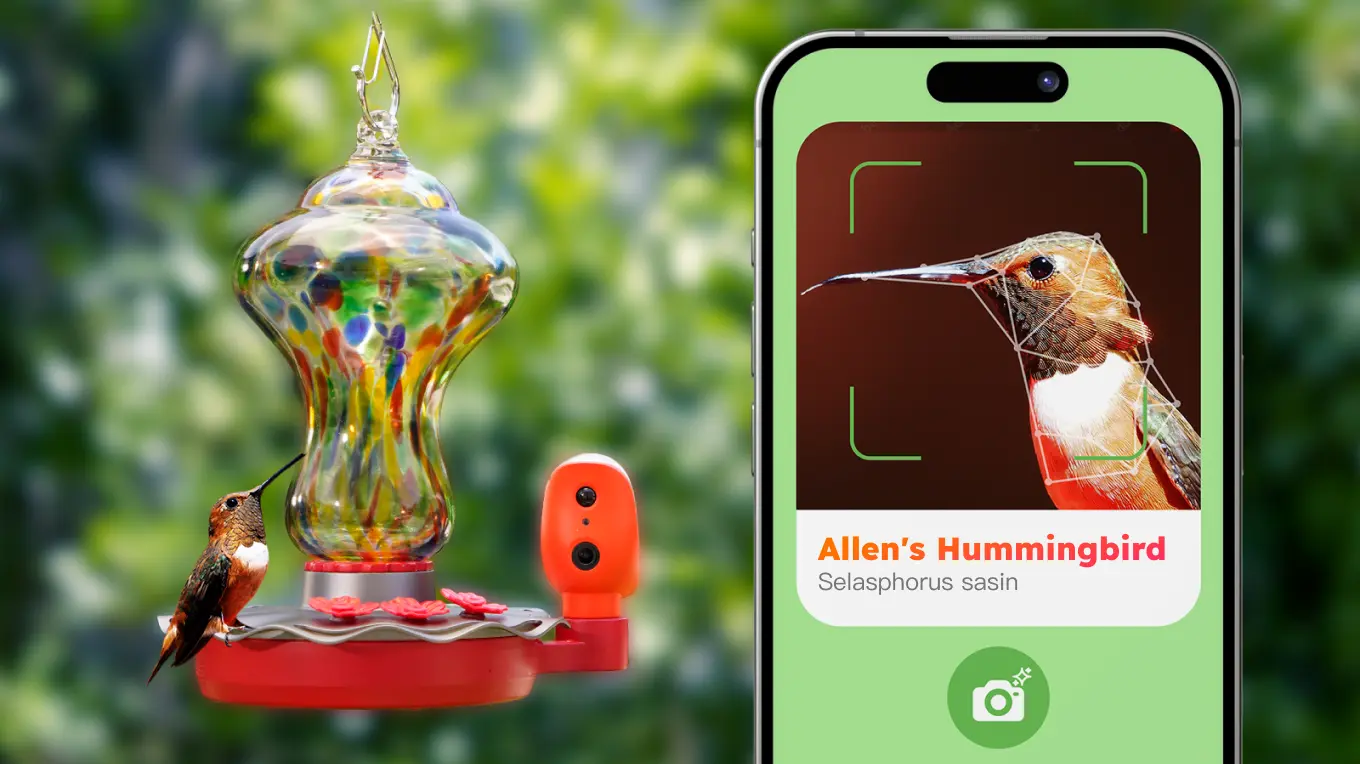 Luck Smart Hummingbird Feeder